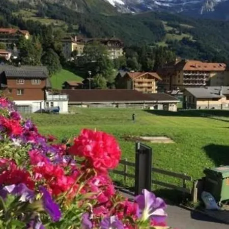Chaes-gruebi - 
